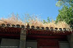 DSCF1388a