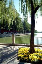 DSCF1411a