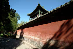 DSCF1443a