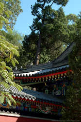 DSCF1479a