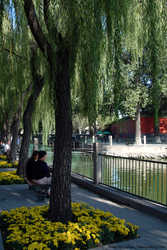 DSCF1536a
