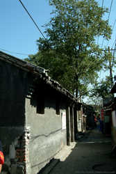 DSCF2031a