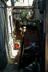 DSCF2036a