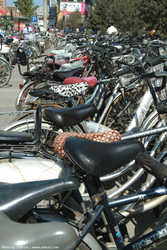 DSCF2077a