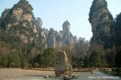 DSCF7181a