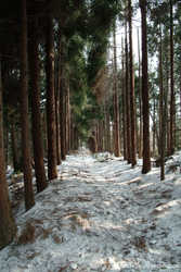DSCF7263a