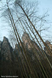 DSCF7373a