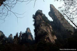 DSCF7395a