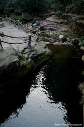DSCF7438a