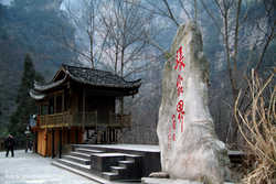 DSCF7461a