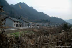 DSCF7494a