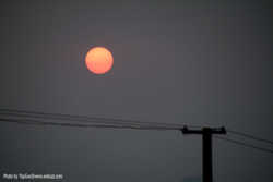 DSCF7508a