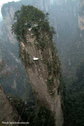 DSCF7597a