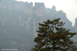 DSCF7612a