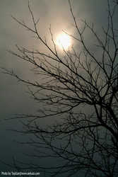 DSCF7859a