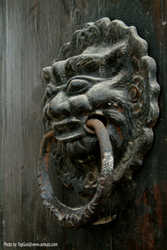 DSCF8081a