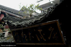 DSCF8140a