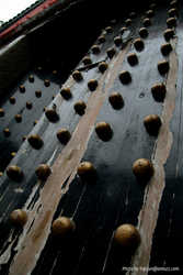 DSCF8145a