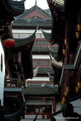 DSCF0601a