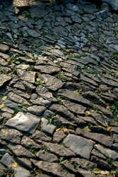 DSCF0648a