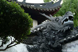 DSCF0651a