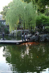 DSCF0656a