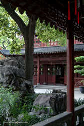 DSCF0661a