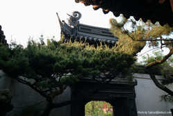 DSCF0693a