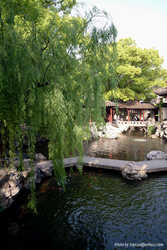 DSCF4971a