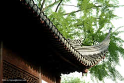DSCF4996a
