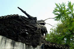 DSCF5005a