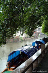 DSCF1101a