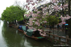 DSCF1108a