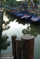 DSCF5451a