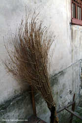 DSCF5527a