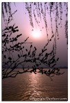 IMG 09891