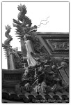IMG 10226