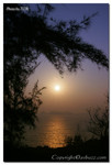 IMG 0683-copy