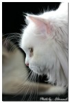 �p�} ~ ����