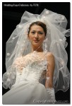 IMG 4184