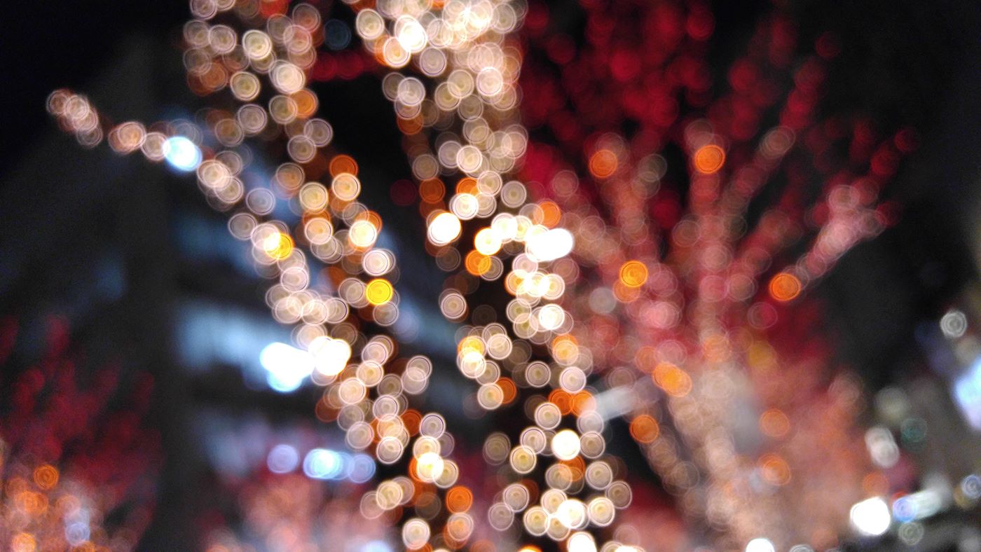 12356748_10153254638702135_7083315404209079666_o