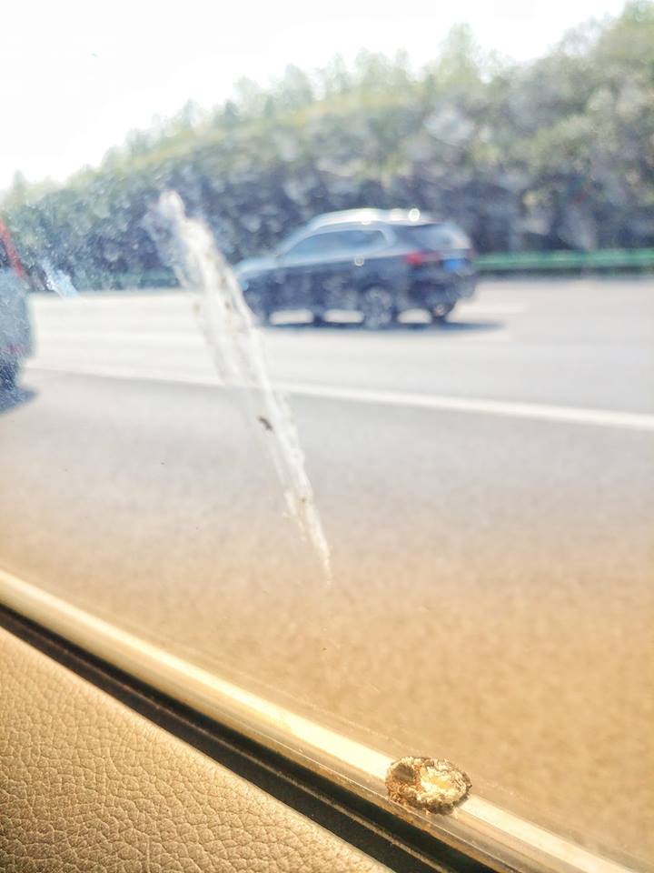 30712058_571923829843358_9102361539904093773_n