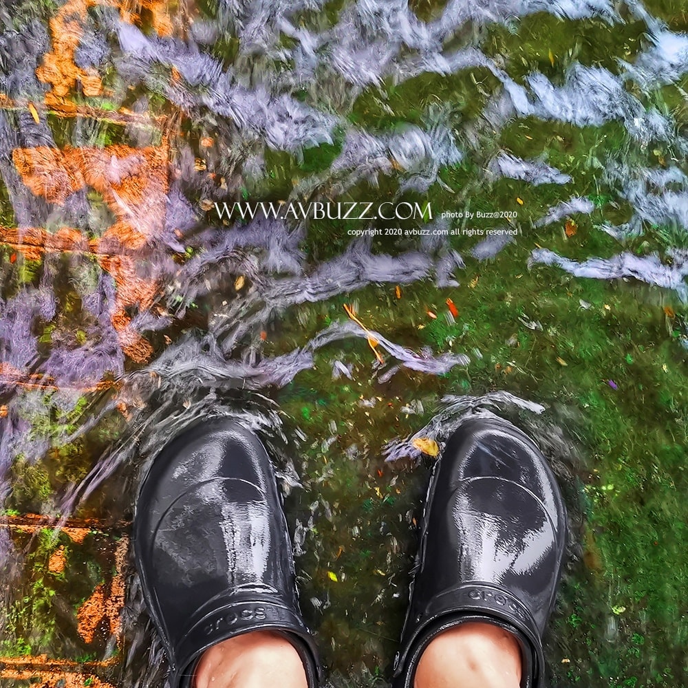 119431437_4557655510941327_4314225442584052459_o