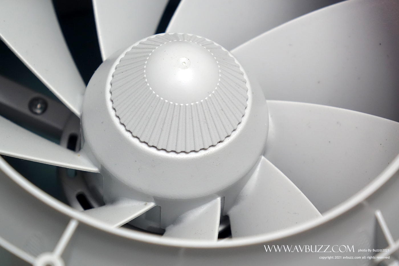 avbuzz-AB00073