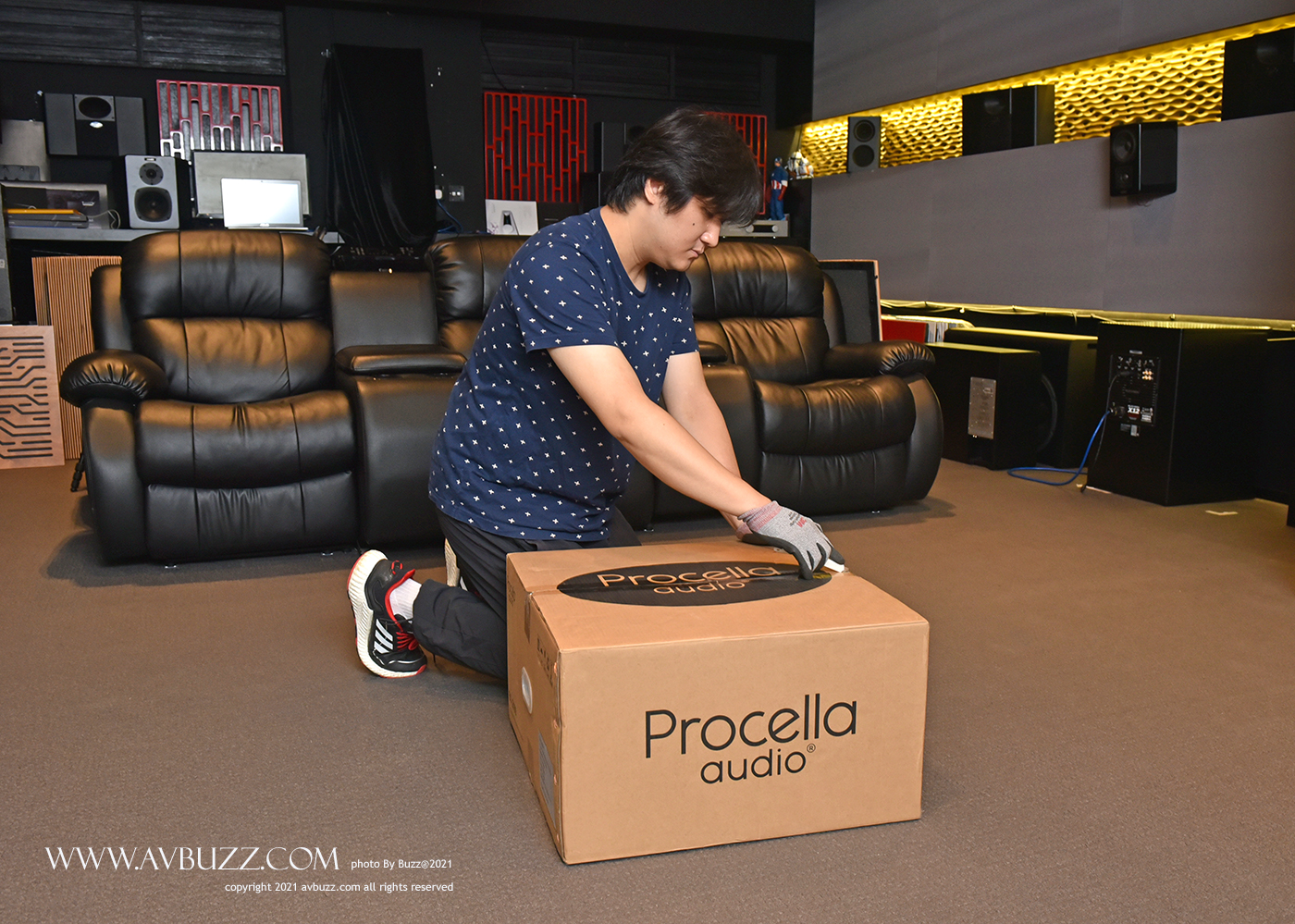 Procella Audio PA 2100 0001