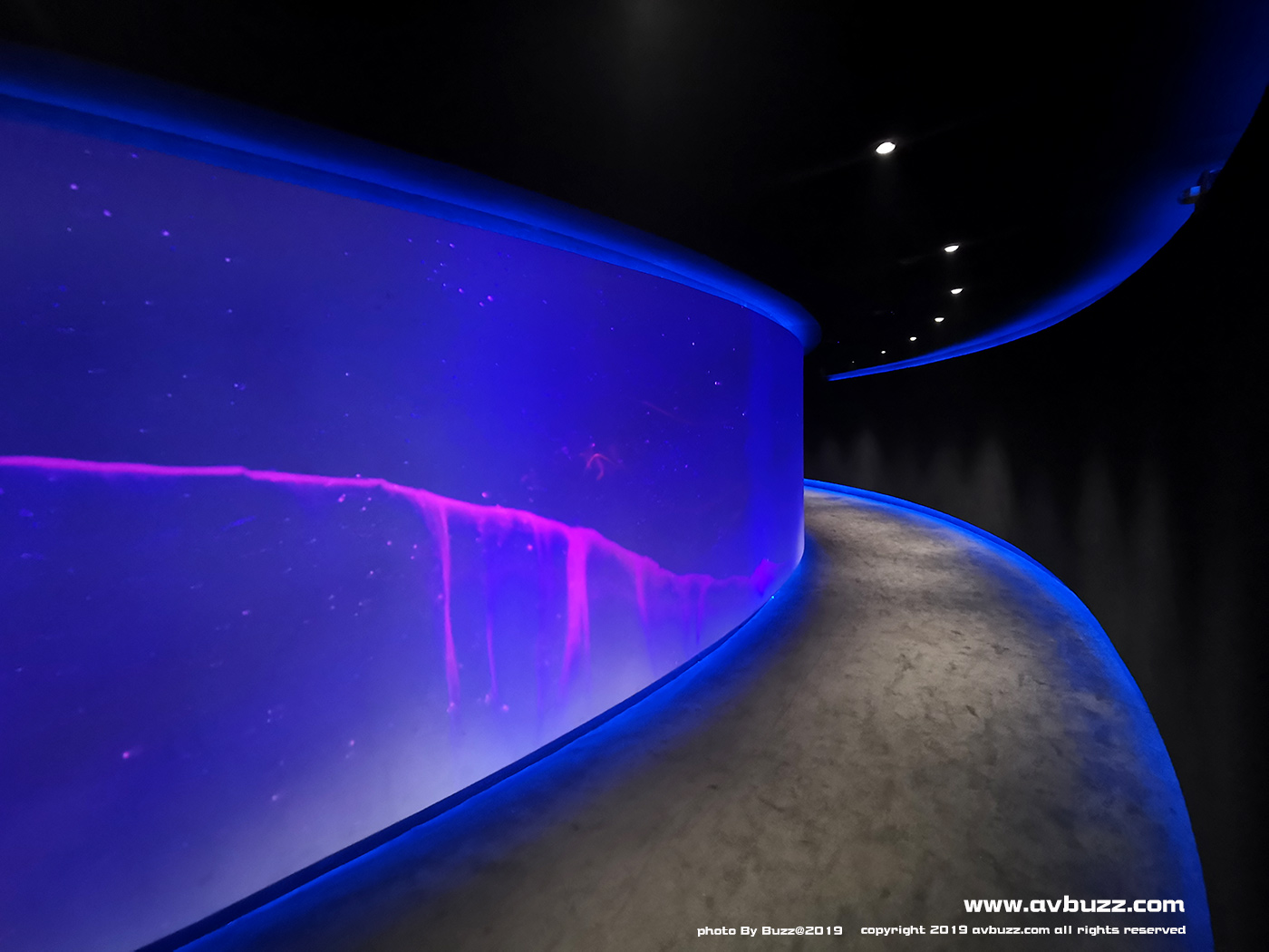 Marunouchi-Piccadilly 03128