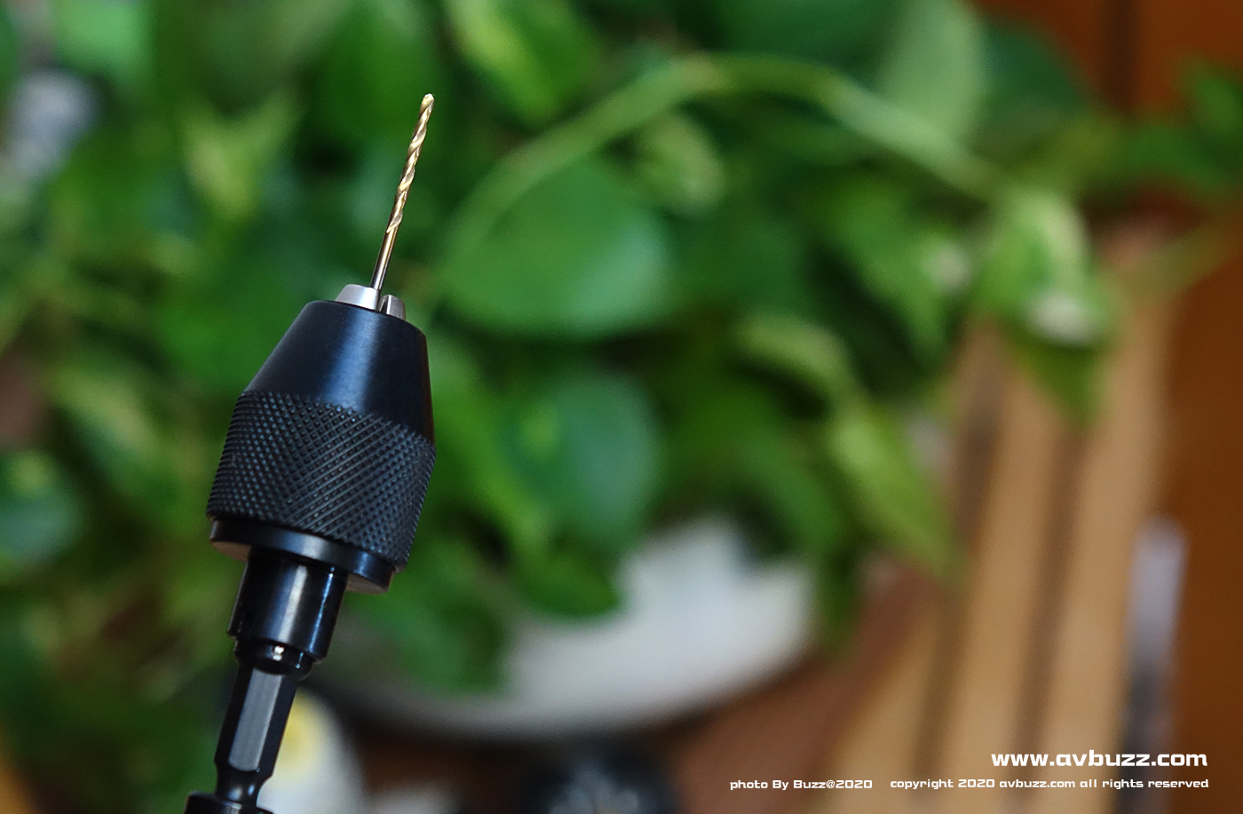 SUNFLAG avbuzz 00004