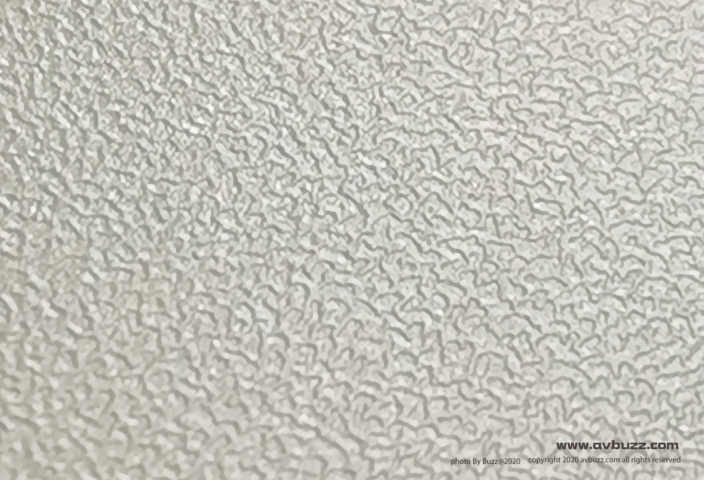 SUNFLAG-avbuzz-0007805