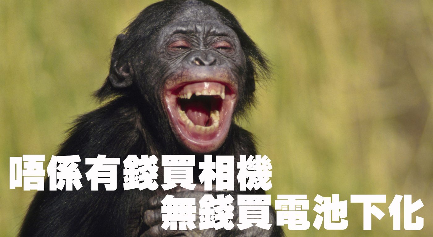 pisen-fw50-000096757cc6576