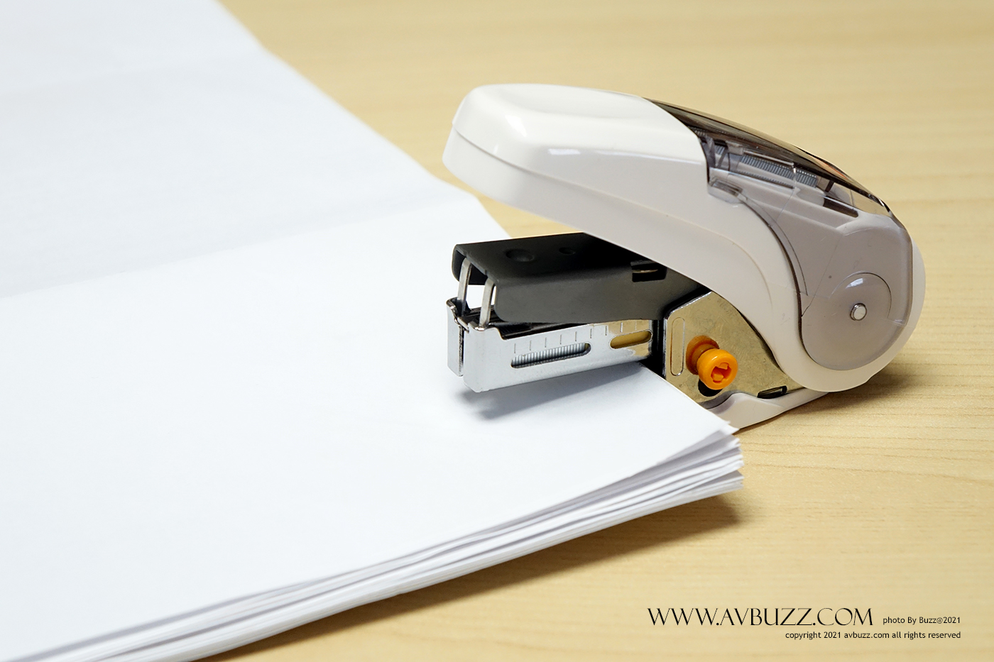 max avbuzz S00015